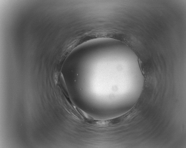 X0000053010335200507151954