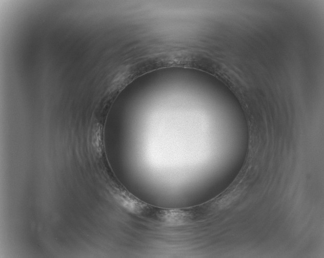 X0000053010336200507151954