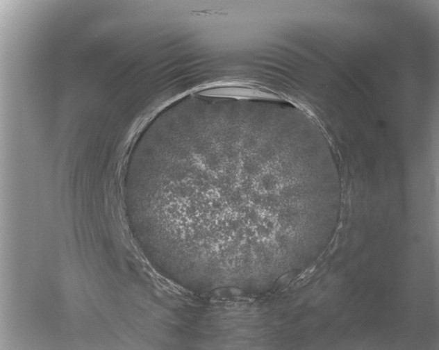 X0000053010337200507151953