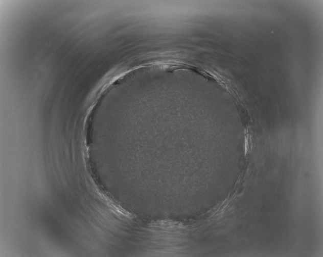 X0000053010339200507151953