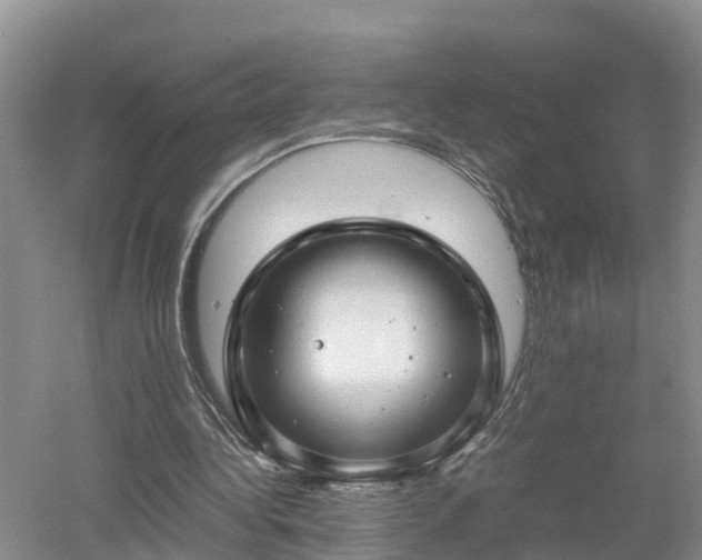 X0000053010340200507151953