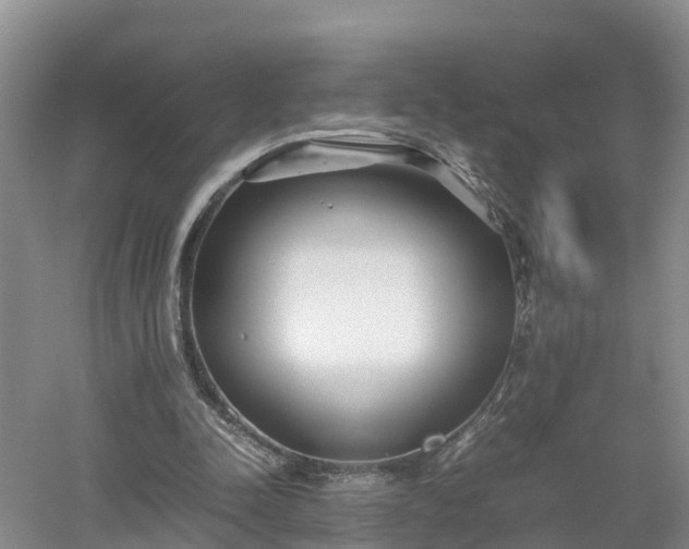 X0000053010342200507151953