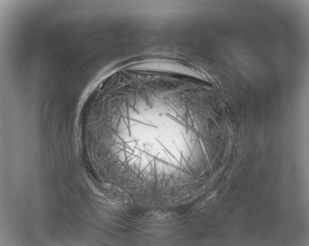 X0000053010343200507151953