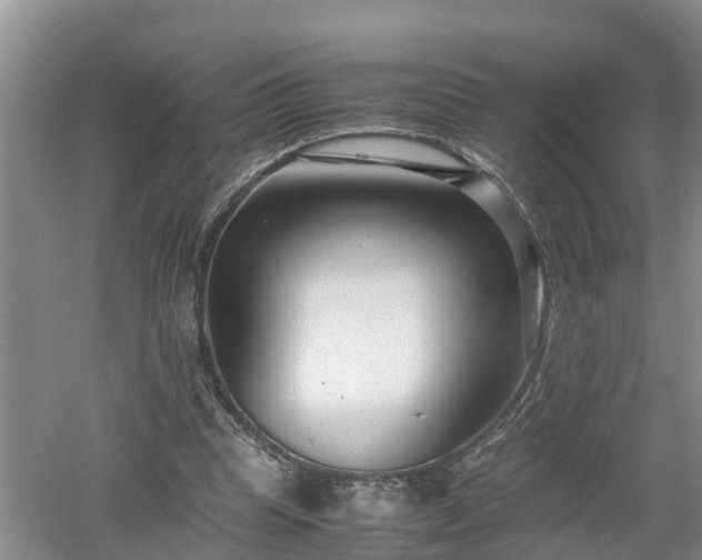 X0000053010345200507151953