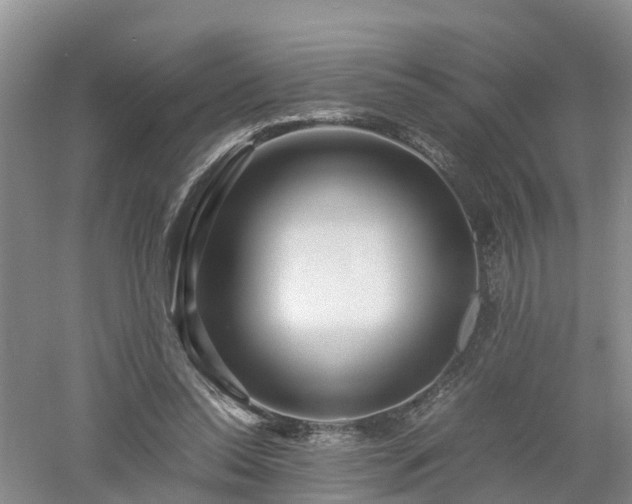 X0000053010350200507151953