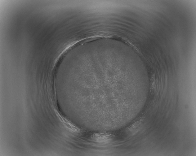 X0000053010351200507151953