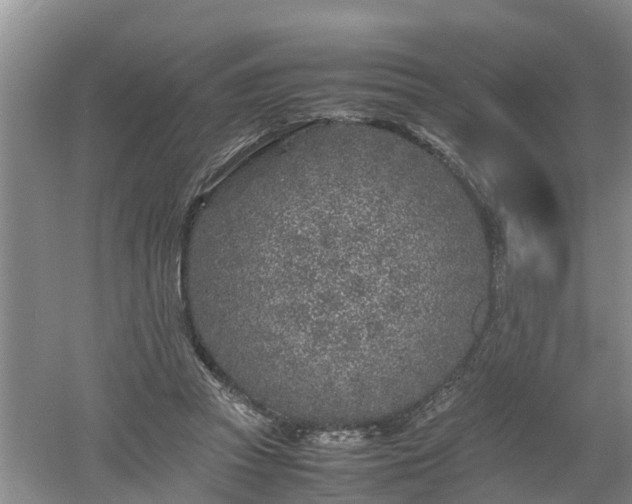 X0000053010353200507151953