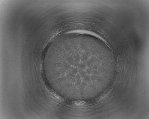 X0000053010355200507151953