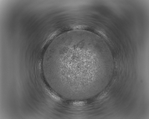 X0000053010357200507151953