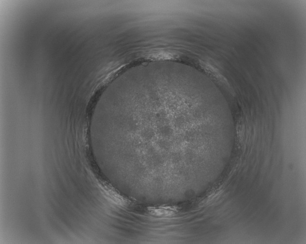 X0000053010359200507151954