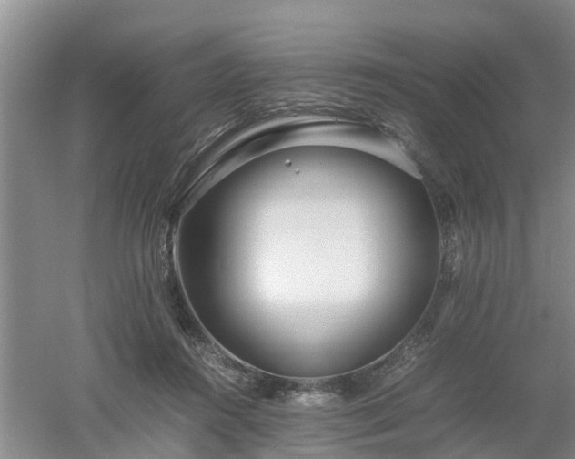 X0000053010360200507151954