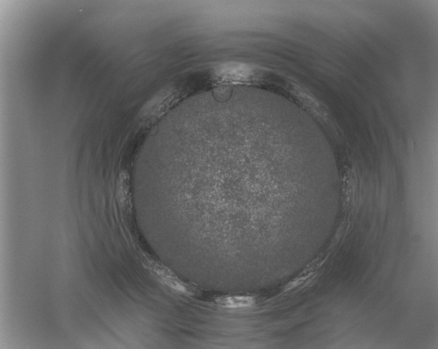 X0000053010361200507151954