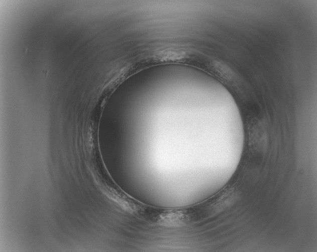 X0000053010362200507151954