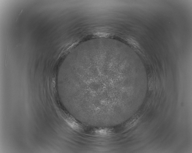 X0000053010365200507151954