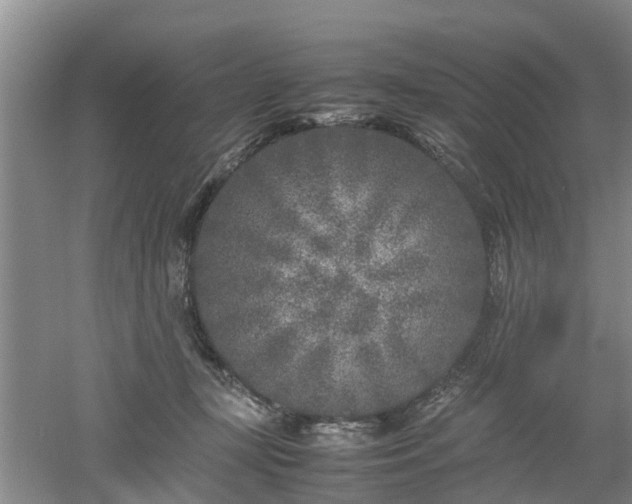 X0000053010367200507151954