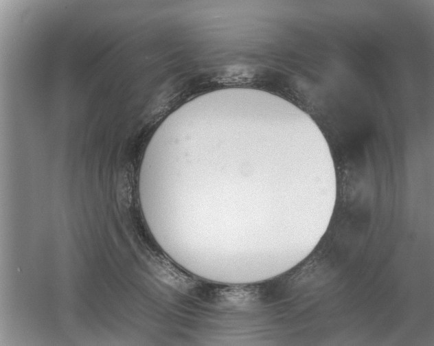 X0000053010370200507151954