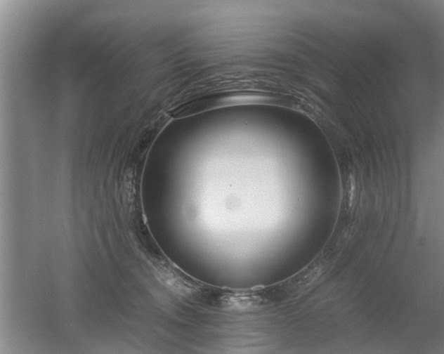 X0000053010372200507151954