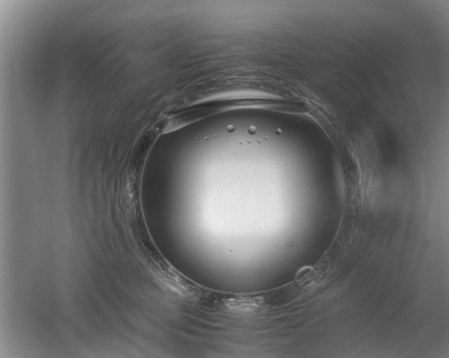 X0000053010373200507151954