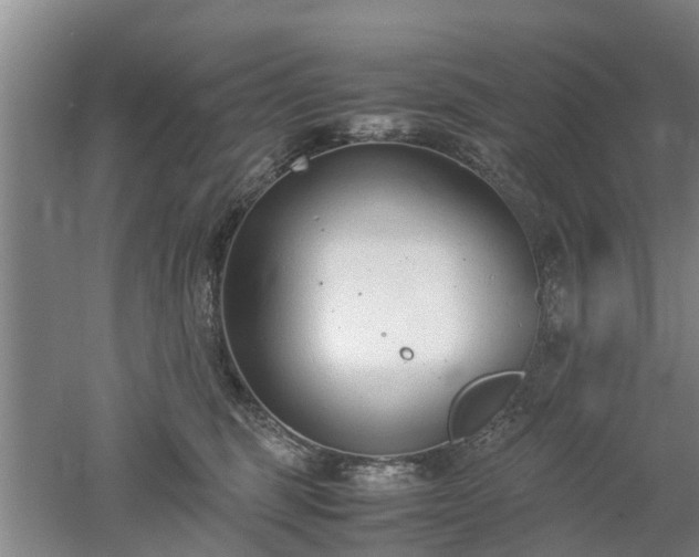 X0000053010375200507151954