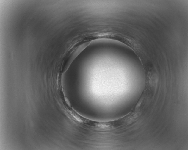 X0000053010380200507151954