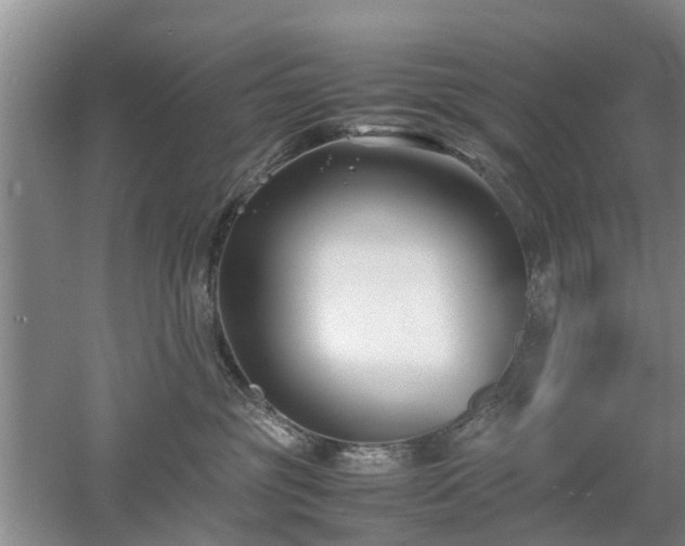 X0000053010381200507151954