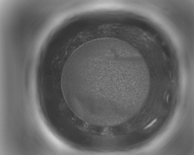 X0000053010382200507151954