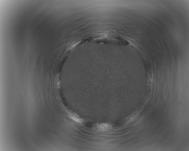 X0000053010383200507151954