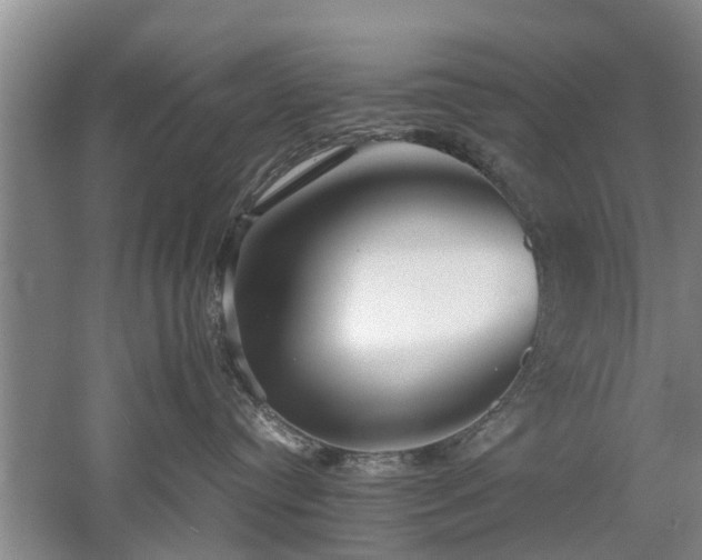 X0000053010384200507151954