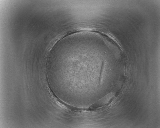 X0000053010385200507151953