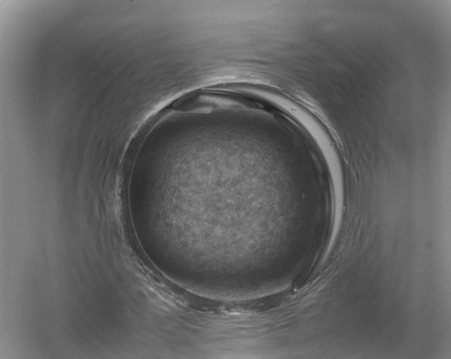 X0000053010387200507151953