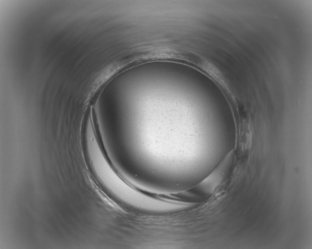 X0000053010389200507151953