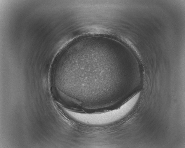 X0000053010391200507151953