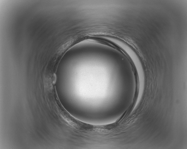 X0000053010393200507151953