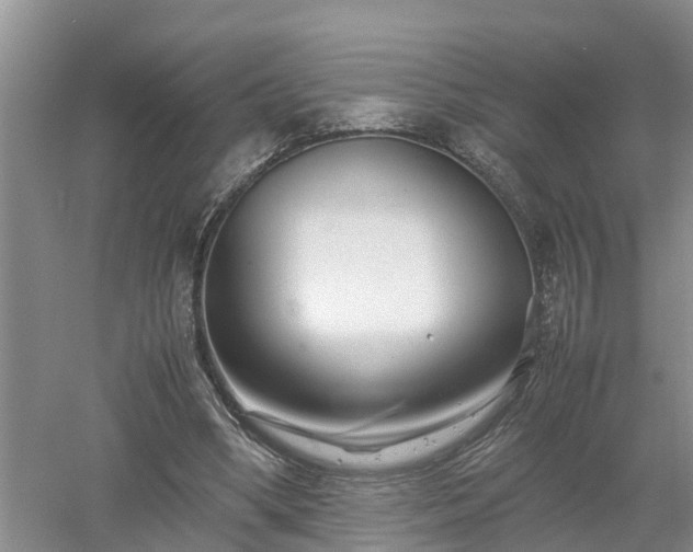 X0000053010394200507151953