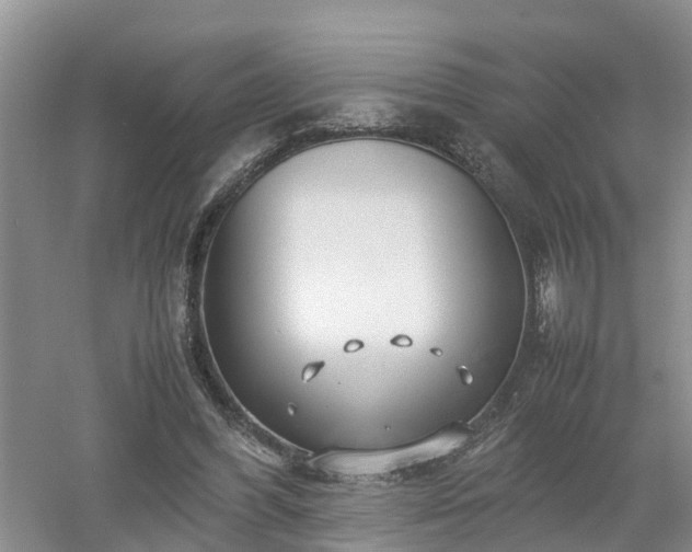 X0000053010396200507151953