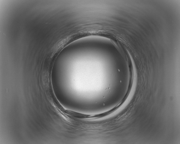 X0000053010397200507151953