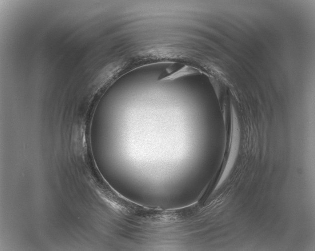 X0000053010398200507151953