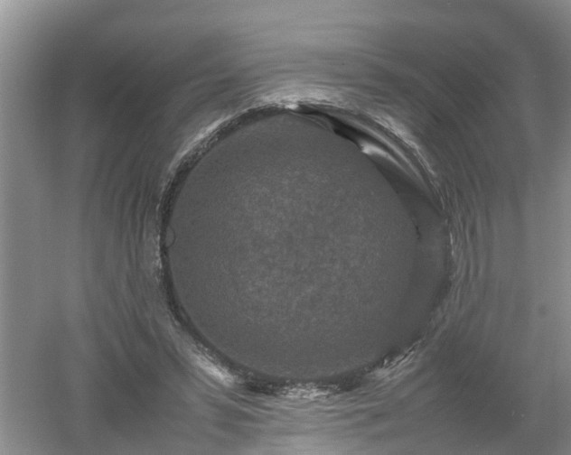 X0000053010399200507151953