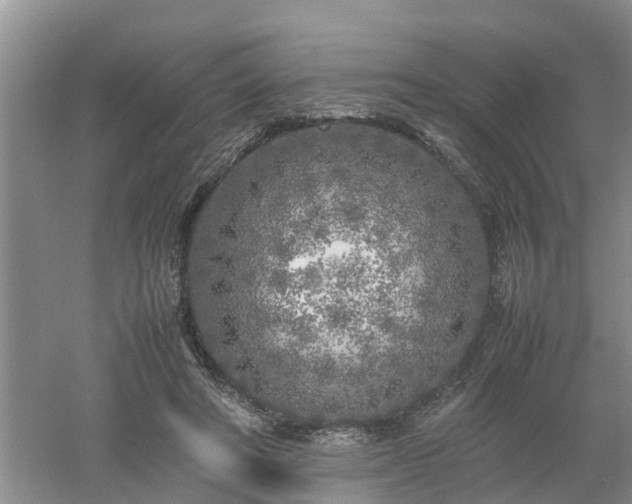 X0000053010402200507151953