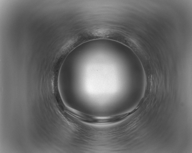 X0000053010404200507151953