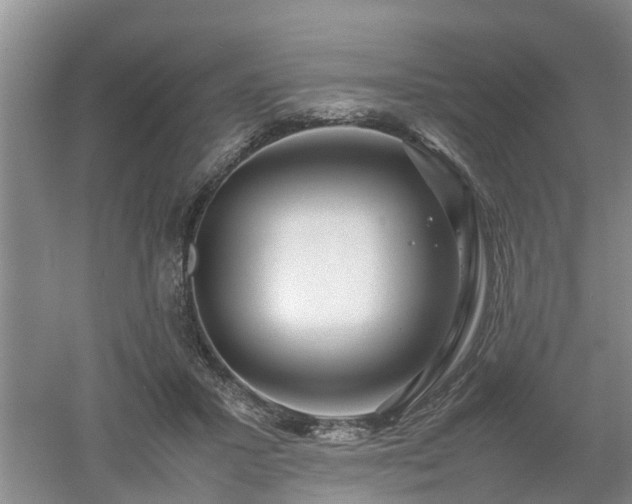 X0000053010407200507151953