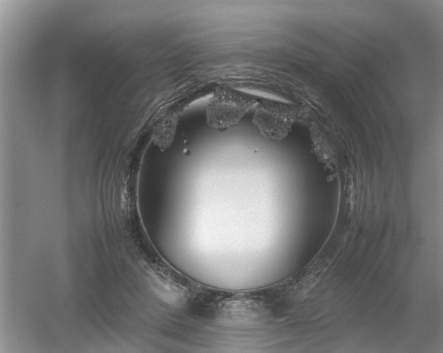 X0000053010408200507151953