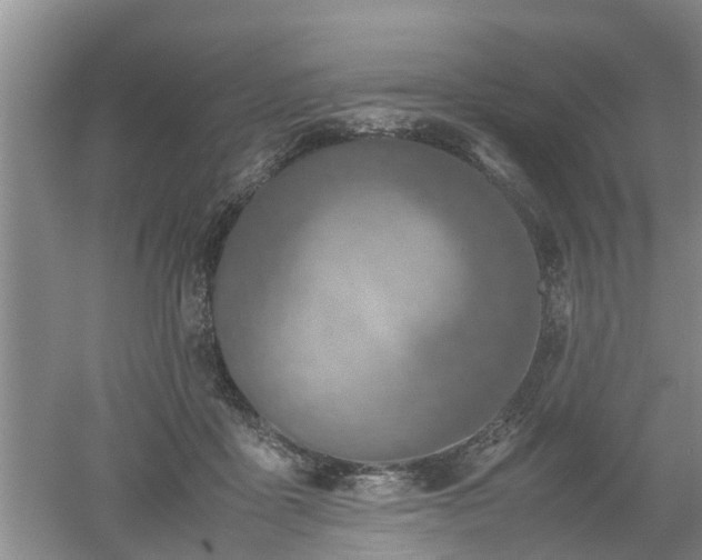 X0000053010411200507151953