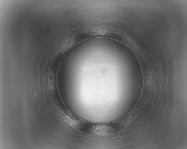 X0000053010414200507151953