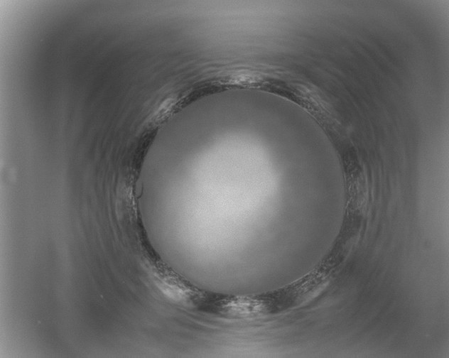 X0000053010415200507151953