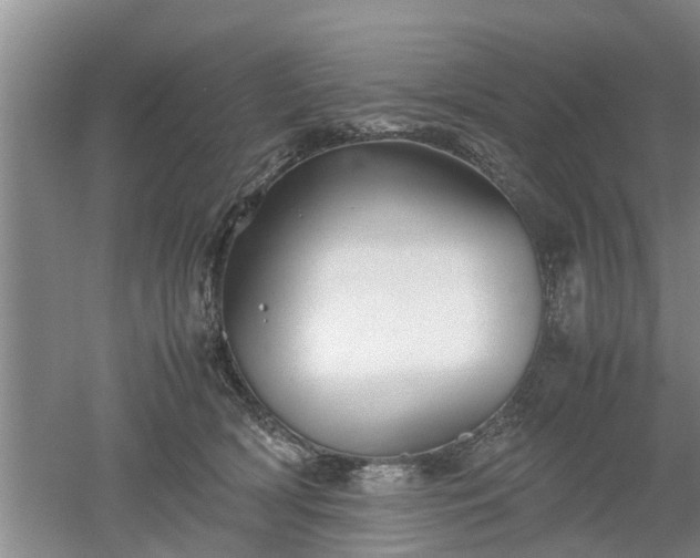 X0000053010418200507151953