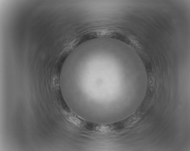 X0000053010419200507151953