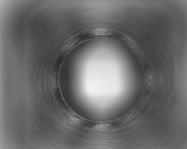 X0000053010422200507151953