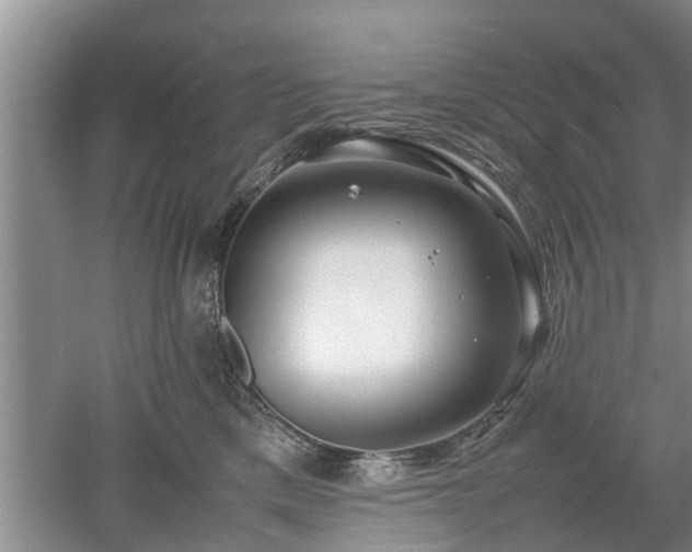 X0000053010425200507151952