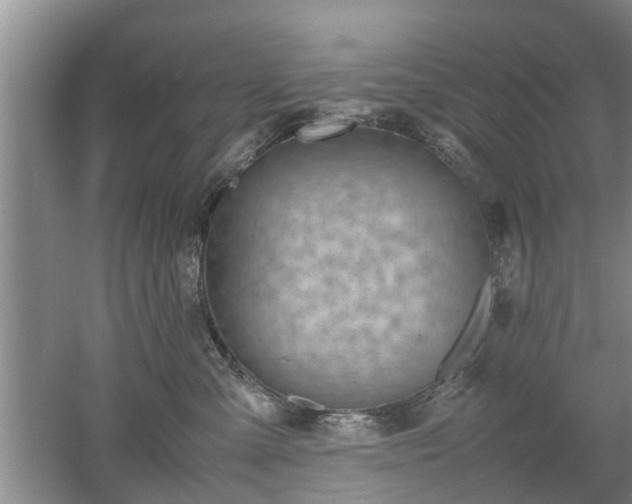 X0000053010427200507151952